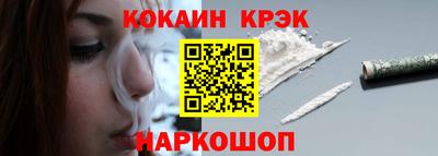 кокс Гатчина