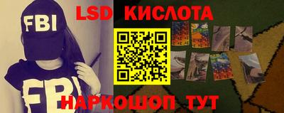 кокс Гатчина