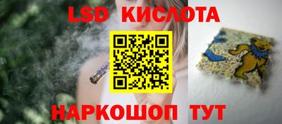 кокс Гатчина