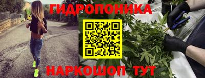 мет Гай