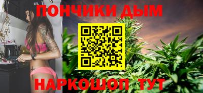 кокс Гатчина