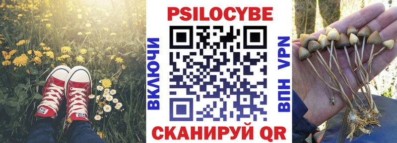 гидра маркетплейс  купить  сайты  Кизилюрт  Псилоцибиновые грибы мицелий 
