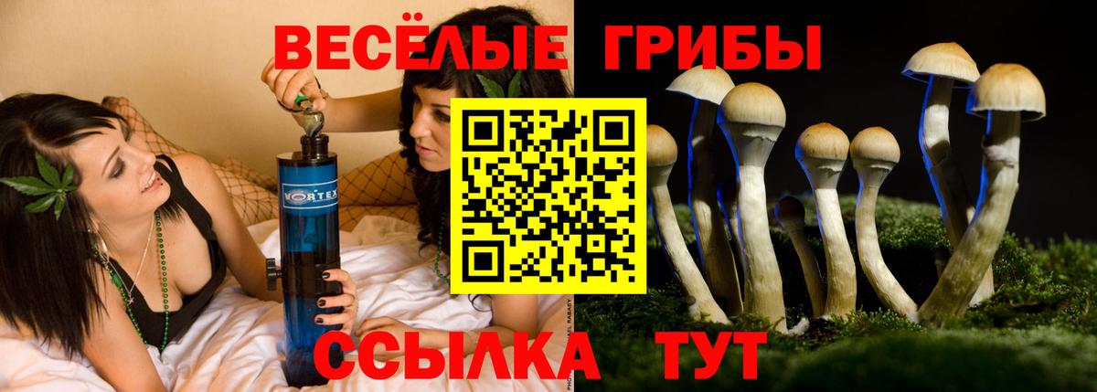 Галлюциногенные грибы ЛСД  наркота  Псилоцибиновые грибы прущие грибы  Кизилюрт 